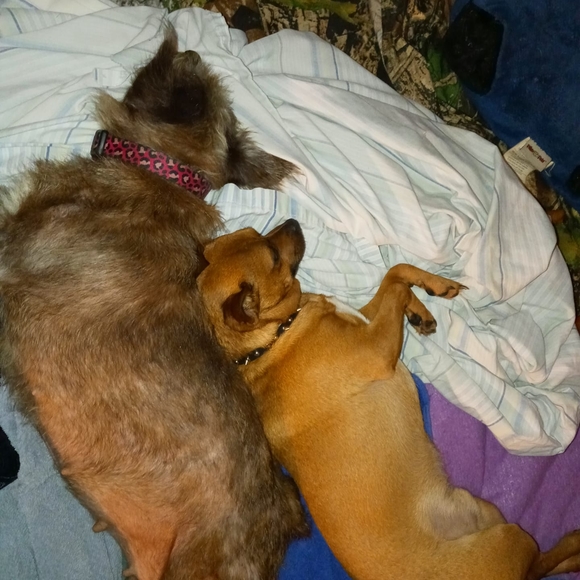 Meet your Posher, Timmy - Picture 1 of 1